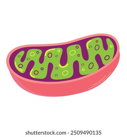 Mitochondria icon clipart avatar logtotype isolated vector illustration