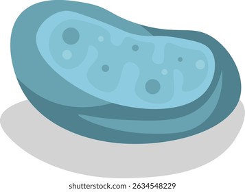 Mitochondria are membrane-bound organelles found in most eukaryotic cells, and  generate the majority of cellular energy in the form of adenosine triphosphate 