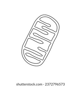 Mitochondria Structure Scientific Design. Vector Illustration.