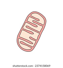 Mitochondria Structure Scientific Design. Vector Illustration.