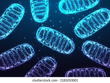 Mitochondria Under Microscope On Dark Blue Backgound In Futuristic Glowing Low Polygonal Style.