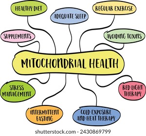 mitochondrial health concept - mind map infographics, vector sketch, healthy lifestyle and aging