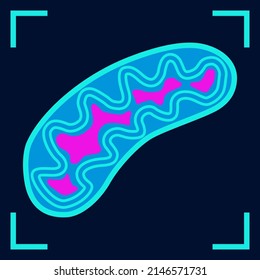 Mitohondria Scan Flat Icon Isolated On Dark Background. Biology Medical Symbol. Health Check Up Web Graphics