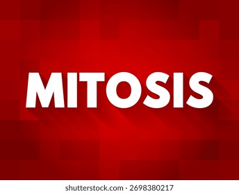 A mitose é uma parte do ciclo celular em que os cromossomos replicados são separados em dois novos núcleos, fundo de conceito de texto