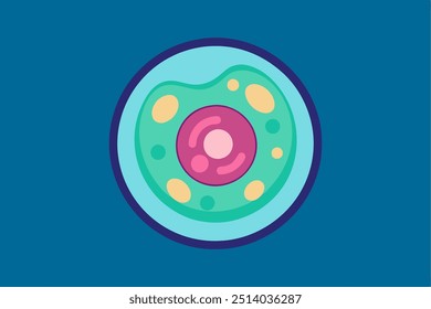 Una Ilustración vectorial de mitosis sobre un fondo sólido