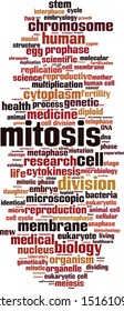 Mitosis word cloud concept. Collage made of words about mitosis. Vector illustration 