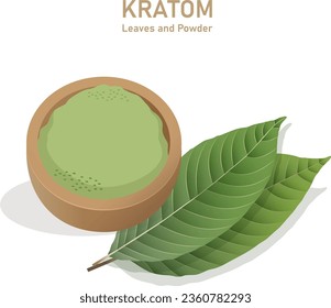 hoja de mitragyna kratom con un producto en polvo. Diseño de iconos de ilustración plana vectorial. Aislado sobre un fondo blanco. El concepto de drogas de la planta de Kratom.