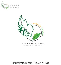 Mitragyna speciosa, kratom leaf logo template. Vector flat illustration icon design. Isolated on white background. Kratom plant, drug leaf logo concept