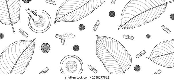 Mitragyna Speciosa Or Kratom Leaves Sketch Drawn On A White Background. Hand Drawn Green Leaf And Powder Capsules. Vector Illustration.