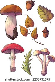 Mix of autumn digital illustrations