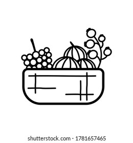 Mix of berries basket line icon isolated on white background