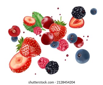 Mixed Fruit Vector Art & Graphics