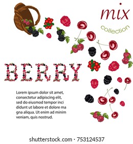 Mix berry collection with wicker basket and with text.