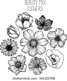 mix flowers drawing vector illustration and clip-art.
cherry blossom,cosmos,poppy,hibiscus,tulip,sunflower,wild rose.