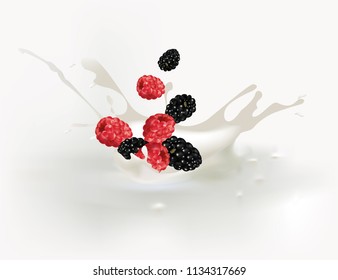 Mix fresh berries milkshake
