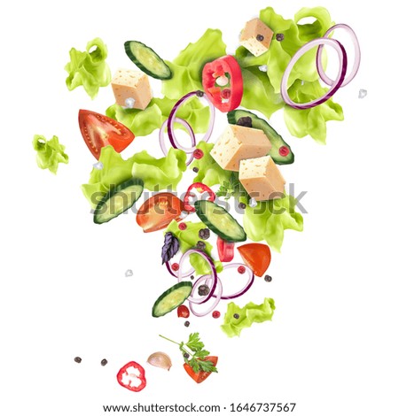 Mix of fresh salad from different vegetables salad leaves, pepper, tomato, onion, cheese, cucumber, spices. Vector illustration isolated on white background.