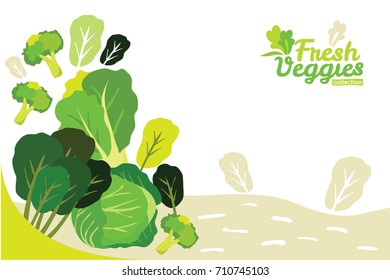 Mix of fresh vegetables including cabbage broccoli lettuce and spinach on white background and bright color border