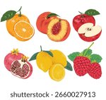 Mix fruit set design. Summer design. Fruit artwork for for t shirt and poster. Peach, Orange,  apple, pomegranate, lemon, pear, passion fruit and raspberry graphic print.