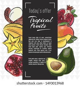 Mix fruits. Set of vector sketch illustration of fruits. Vector banner with place for text. Hand drawn sketch graphic design