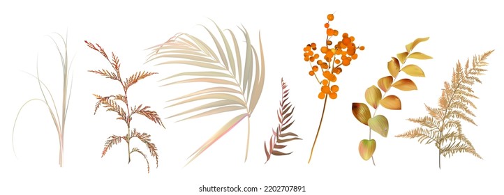 Mix of herbs and plants vector big collection. Cute rustic wedding greenery. Dried palm leaf, orange berry, beige fern, bleached grass, autumn herbal. Watercolor style set. All elements are isolated