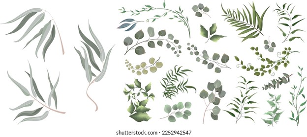 Mix of herbs and plants vector big collection. Juicy eucalyptus, green plants and leaves. All elements are isolated 