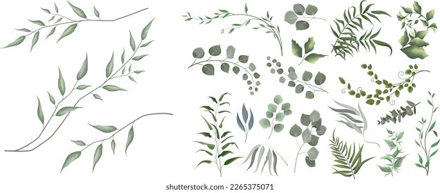 Mix of herbs and plants vector big collection. Juicy eucalyptus, green plants and leaves. All elements are isolated 