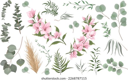 Mix of herbs and plants vector big collection. Juicy eucalyptus, deadwood, green plants and leaves. All elements are isolated. A branch of pink magnolia, sakura. 