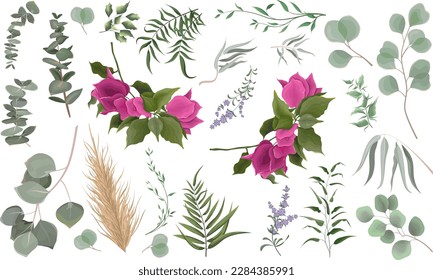 Mix of herbs and plants vector big collection. Juicy eucalyptus, deadwood, green plants and leaves. All elements are isolated. Branches of bright pink bougainvillea,  lavender.  svg