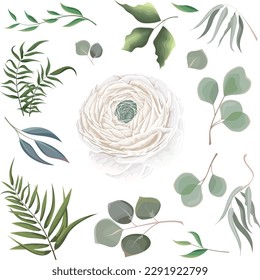 Mix of herbs and plants vector big collection. Juicy eucalyptus, green plants and leaves. All elements are isolated White rose, ranunculus, peony. 
