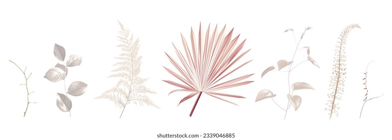 Mix of herbs and plants vector big collection. Cute rustic wedding greenery. Dried palm leaf, beige fern, pale pink autumn herbal. Pastel watercolor style set. All elements are isolated and editable