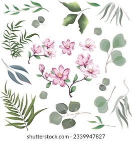 Mix of herbs and plants vector big collection. Green plants and leaves. All elements are isolated. A branch of pink magnolia, sakura. 
