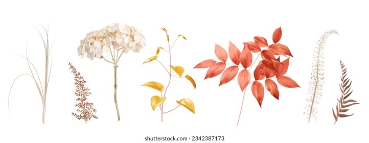 Mezcla de hierbas y plantas vectorial gran colección. Agradable vegetación rústica de bodas. Hierba de pasto seco, naranja, beige, blanqueado, hidrangea seca, hierba de otoño. Conjunto de estilos de acuarela. Todos los elementos están aislados