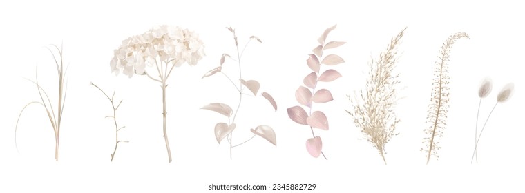 Mix of herbs and plants vector big collection. Cute rustic wedding greenery. Dried pampas grass, lagarus, beige, bleached hydrangea, autumn herbal. Watercolor style set. All elements are isolated