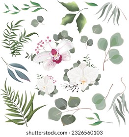 Mix of herbs and plants vector collection. Juicy eucalyptus, deadwood, green plants and leaves. All elements are isolated.Floral arrangements with white orchids, gypsophila and eucalyptus. . Vector il