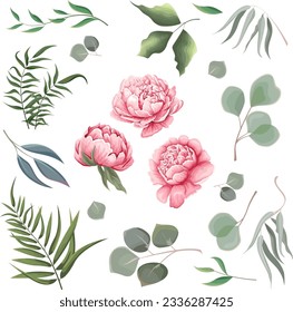 Mix of herbs and plants vector collection. Green plants and leaves. All elements are isolated. Pink peony. Vector illustration