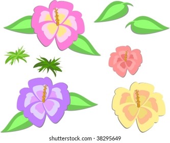 Mix of Hibiscus Flowers and Leaves Vector