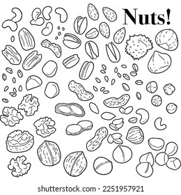 Mezcle las tuercas y los iconos de línea plana de cacahuetes. Fondo vectorial de nueces y semillas - almendras, macadamia, castaño, anacardos, maní, nuez, pistacho. Aperitivos vegetarianos sanos para comestibles o envasado de alimentos
