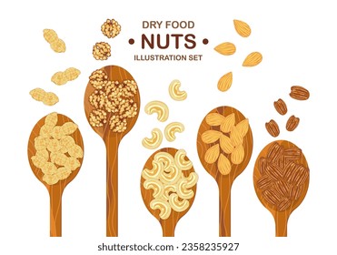 Mix organic nuts with peanuts, walnuts, cashews, almond nuts, and pecan nuts in a lined wooden spoon. The top view isolated on a white background icon vector illustration for the poster easy to fix