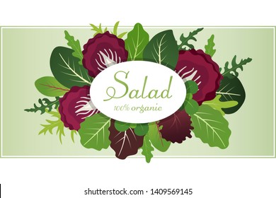 Mix of salad leaves. Arugula, spinach and lettuce leaf. Vector illustration.