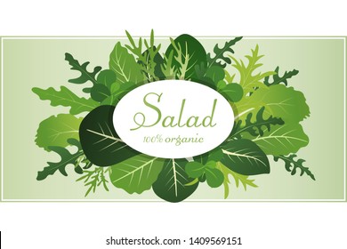 Mix of salad leaves. Arugula, spinach and lettuce leaf. Vector illustration.