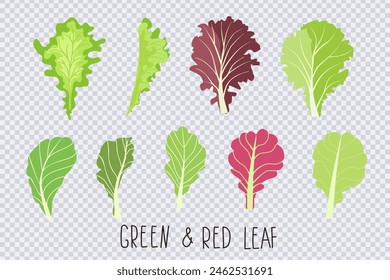 Mix of salad leaves. Cartoon set of green red raw leaves isolated on transparent. Collection icon of leaf salad . Organic vitamin ingredients for cooking healthy food. Vector illustration