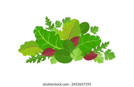 Mix of salad leaves. Heap of green leaf vegetables isolated on white background. Vector cartoon flat illustration. Healthy food icon.