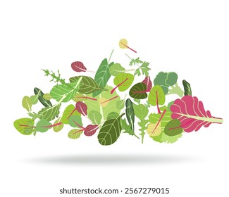 Mix of salad leaves. Pattern of cartoon green red raw leaves pattern on white. Arugula, spinach, lettuce leaf, watercress. Organic vitamin ingredients for cooking healthy food. Vector illustration