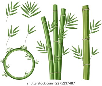 Mix set of bamboo illustration