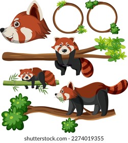 Mix set of red panda illustration