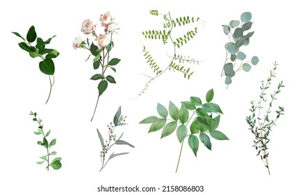 Mix of spring herbs and flowers vector collection. Cute rustic wedding greenery. Mint green eucalyptus, bird vetch, spray rose leaves and stems. Watercolor style set.Elements are isolated and editable