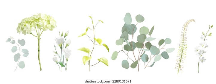 Mix of spring herbs and plants vector collection. Cute rustic wedding greenery. Mint green eucalyptus, white orchid, hydrangea, leaves and stems.Watercolor style set.Elements are isolated and editable