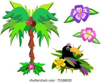 Mix of Tropical Life