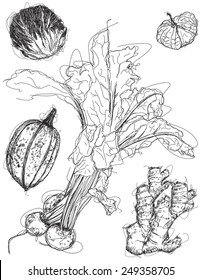 Mix vegetable sketches