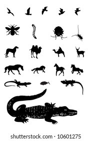 Mixed animal silhouettes set